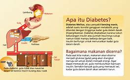 Diabetes Adalah Penyakit Yang Disebabkan Oleh